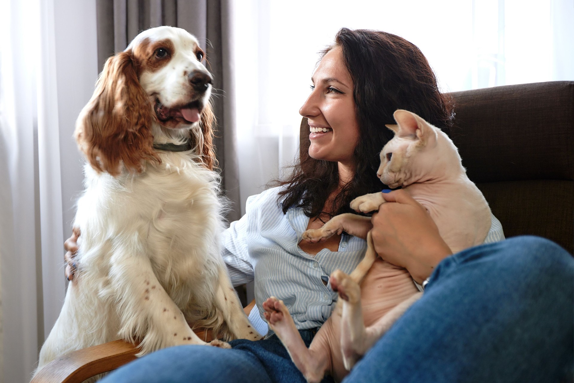 A woman lies on a sofa with a cat and a dog. Love for pets concept